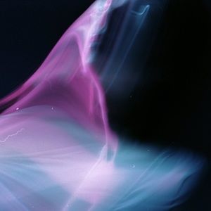 Meet your Posher, Paris